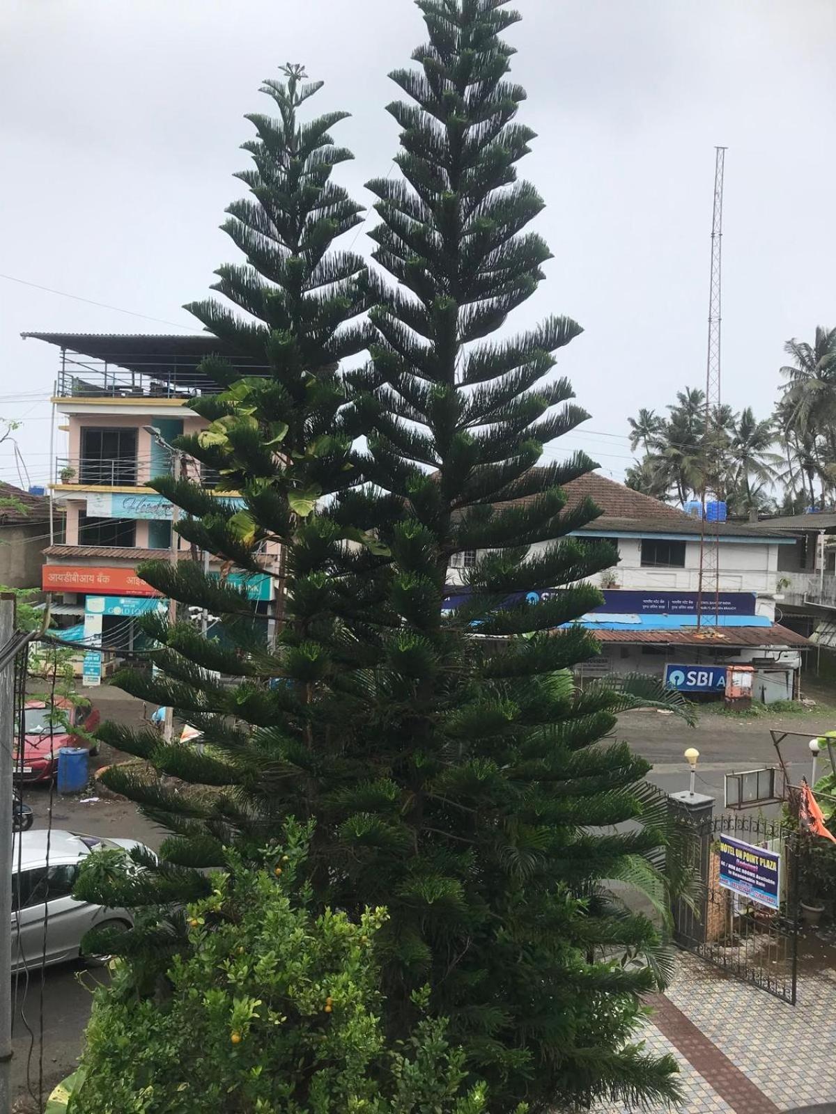 On Point Plaza Bed & Breakfast Murud  Bagian luar foto